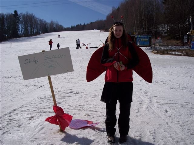 Karlov, Karneval, 2011