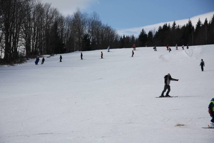 Karlov, Karneval, 2009